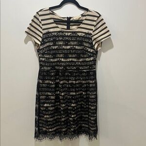 Hem & Thread Black Lace Striped Mini Dress